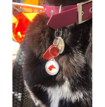 Médaille Pawsitive Dog...