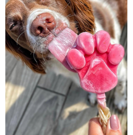 Pawsitive Shop Moule à glace Paw Le moule à sucette glacée super fun de No Fuss Fill !